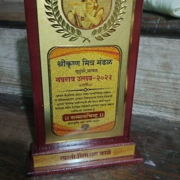 Miss swati Kale received award from best social work in COVID from Sudumbre gaon